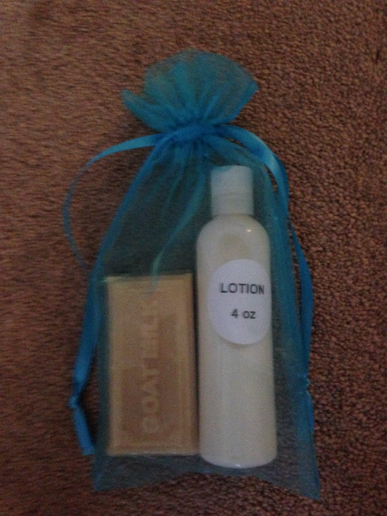 Turquoise Gift Bag