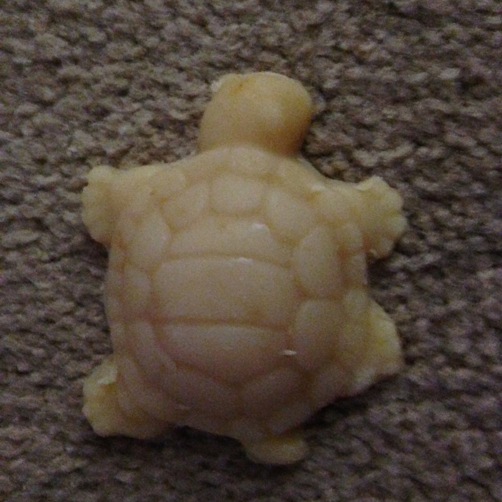 Turtle soap - Goat Milk Etc.
